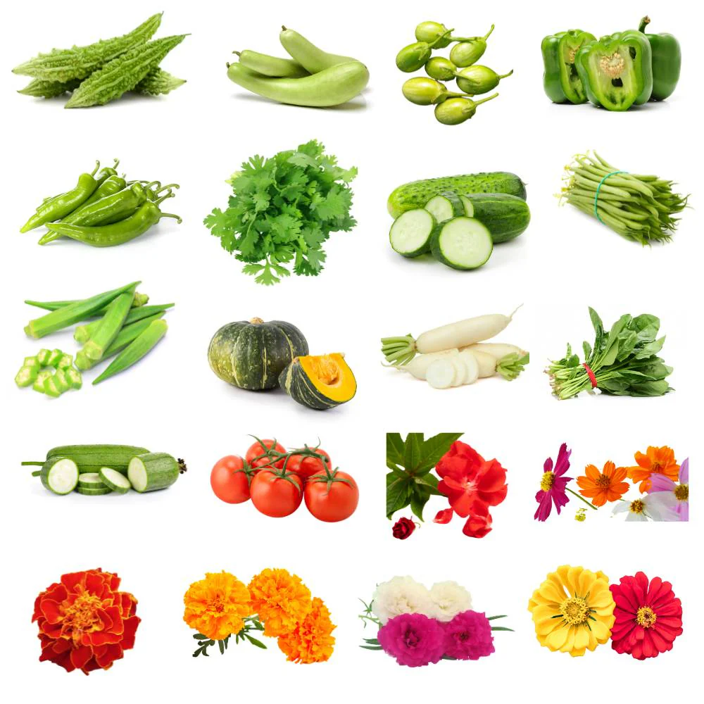 Rainy Season Vegetable & Flower Mixed Seeds Kit – 20 Best Varieties for Terrace & Kitchen Gardening - Image 2