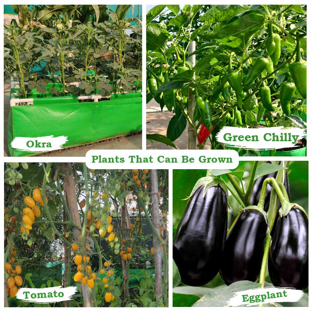 HDPE 60x12x12 Rectangle Grow Bag With Supporting Pvc Pipes Extra Thick Premium Quality Grow Bags - Image 4