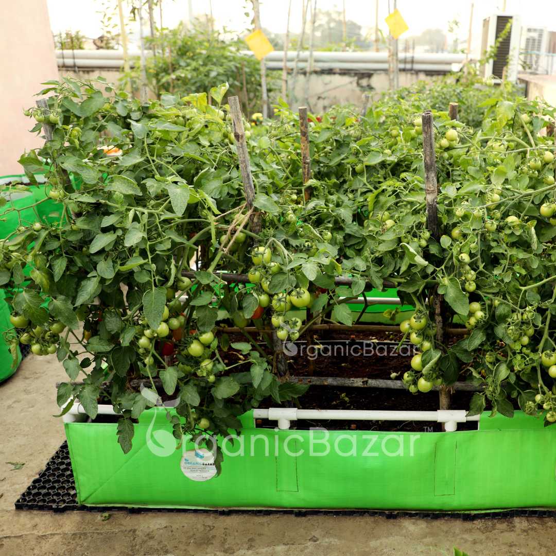 OrganicBazar 72x36x12 Rectangular Grow Bag With Supporting Pvc Pipes Frame, Premium HDPE Green Raised Bed - Image 5