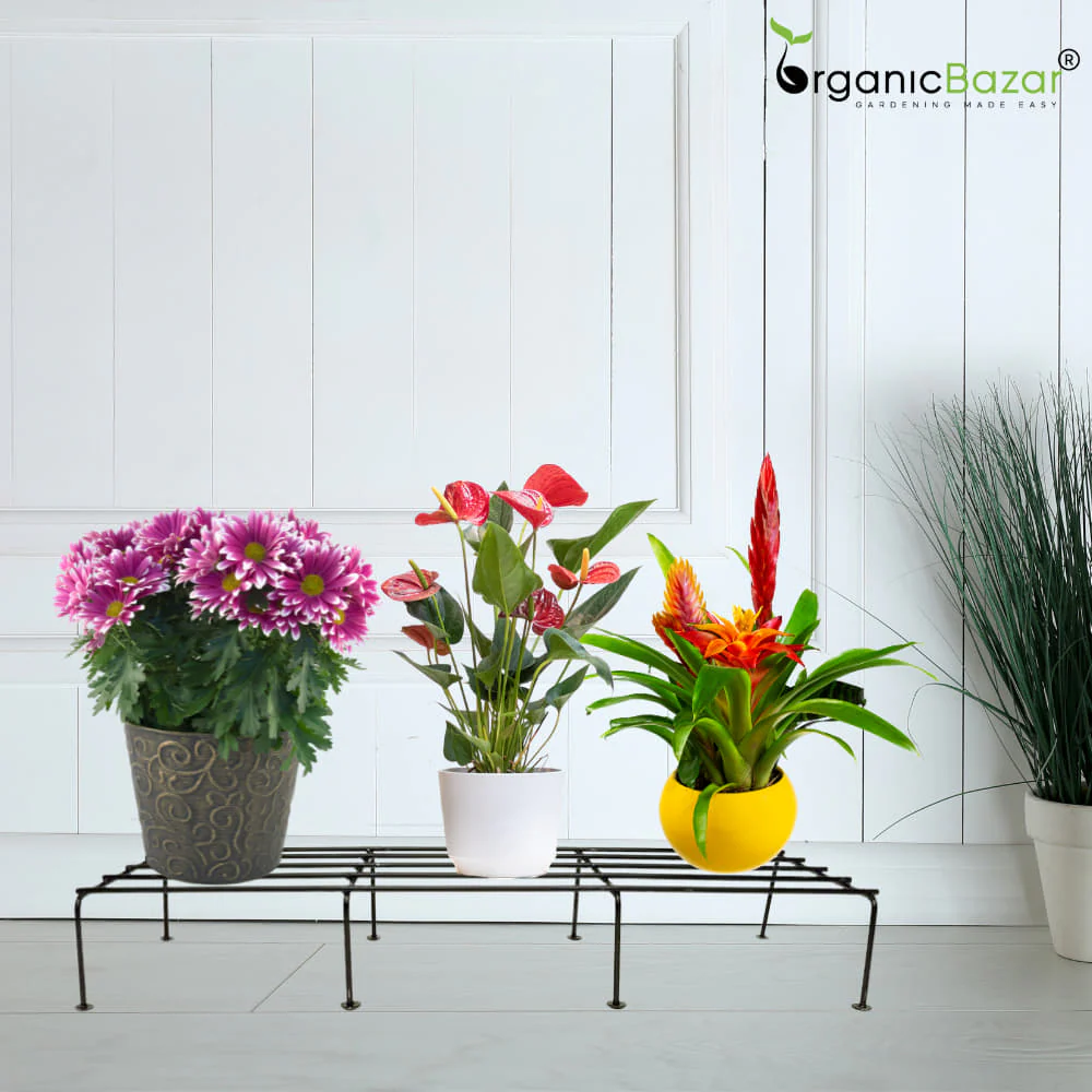 OrganicBazar Metal Plant Stand for Pots | Rust-Resistant Heavy-Duty Rectangular Flower Pot Stand for Garden Decor, Balcony & Indoor Use (Black) - Image 4