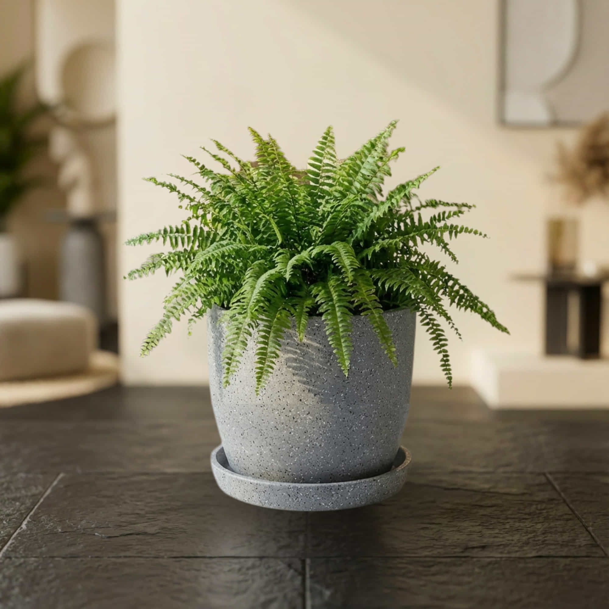 Roto-Moulded Aroma Pot with Saucer | Premium Stone-Finish Planter with 10+ Years Durability for Indoor & Outdoor Garden (Pack of 1) - Image 7