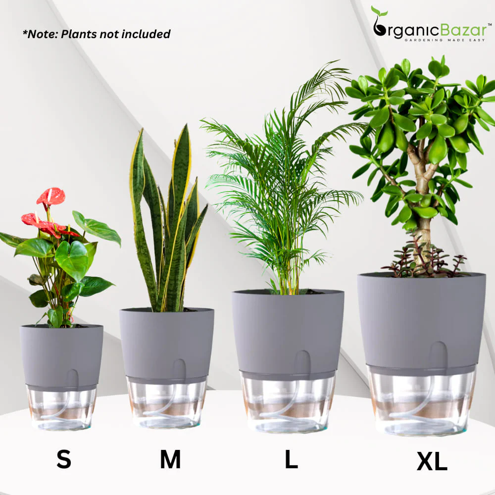 OrganicBazar Self Watering Pot Clear Plastic Decorative Garden Planters (Pack of 2) Without Plant - Image 4