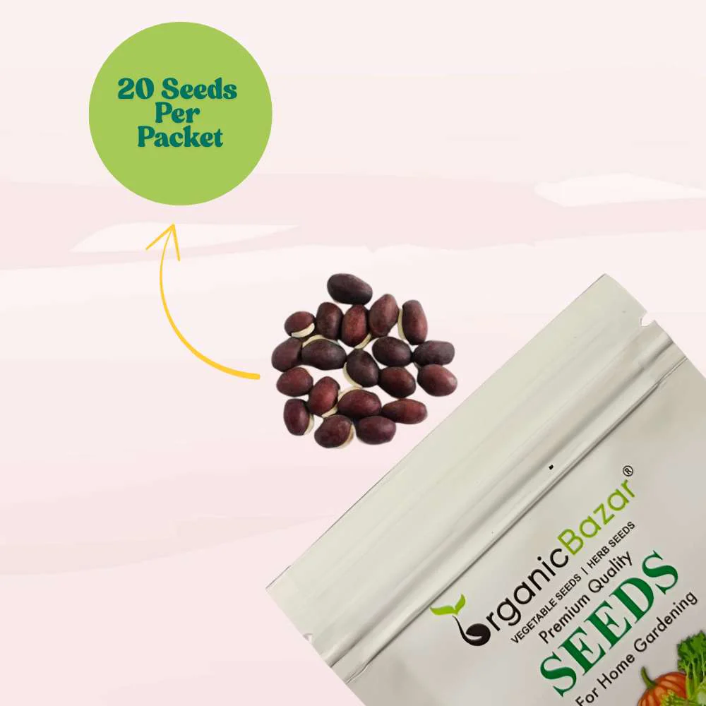 Sem Phali / Dolichos Beans Pole Type Seeds - 20 Seeds (सेम फली के बीज) Easy To grow, High Germination, High Yield Seeds for Home Gardening - Image 2