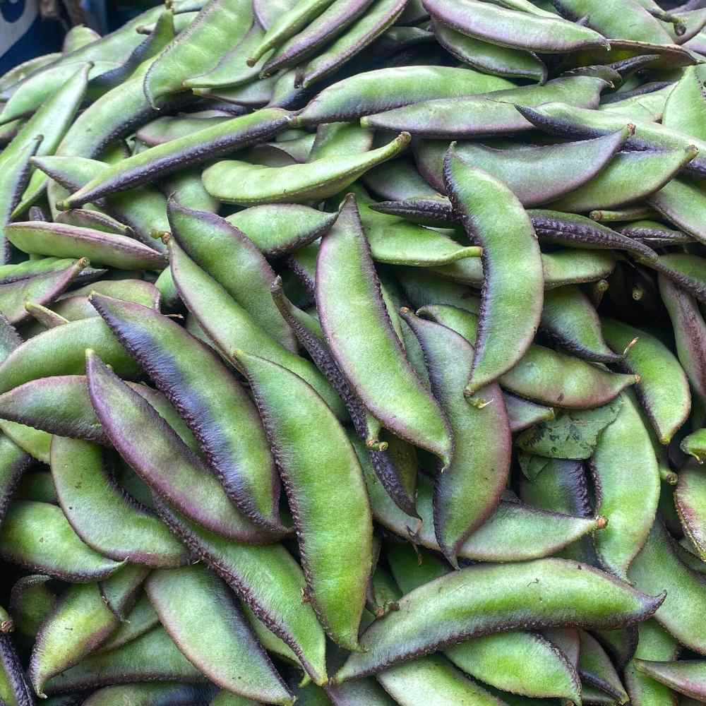 Sem Phali/Lima Beans Seeds Bush Type - 20 Seeds (सेम फली के बीज) Easy To grow, High Germination, High Yield Seeds for Home Gardening - Image 2