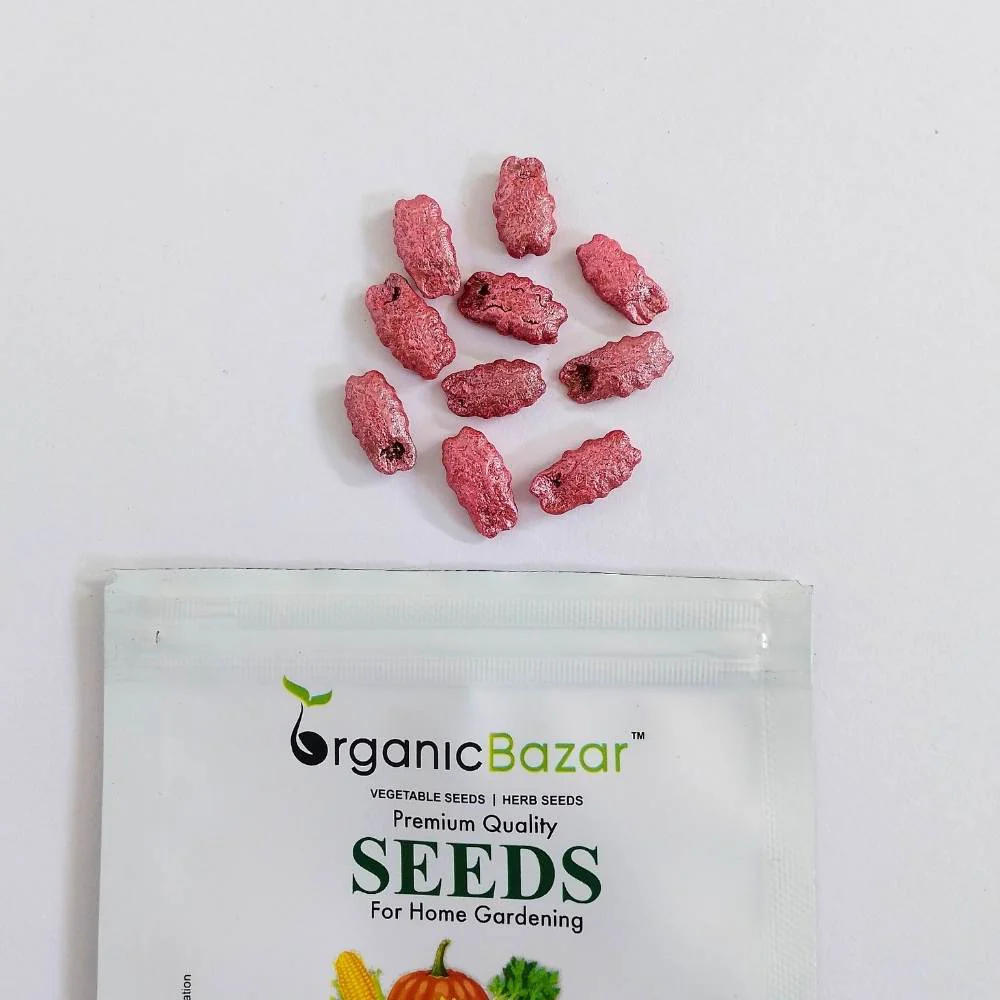 Snake Gourd (Chichinda) Dwarf White Short Seeds - 10 Seeds (चिचिंडा के बीज) - Image 3