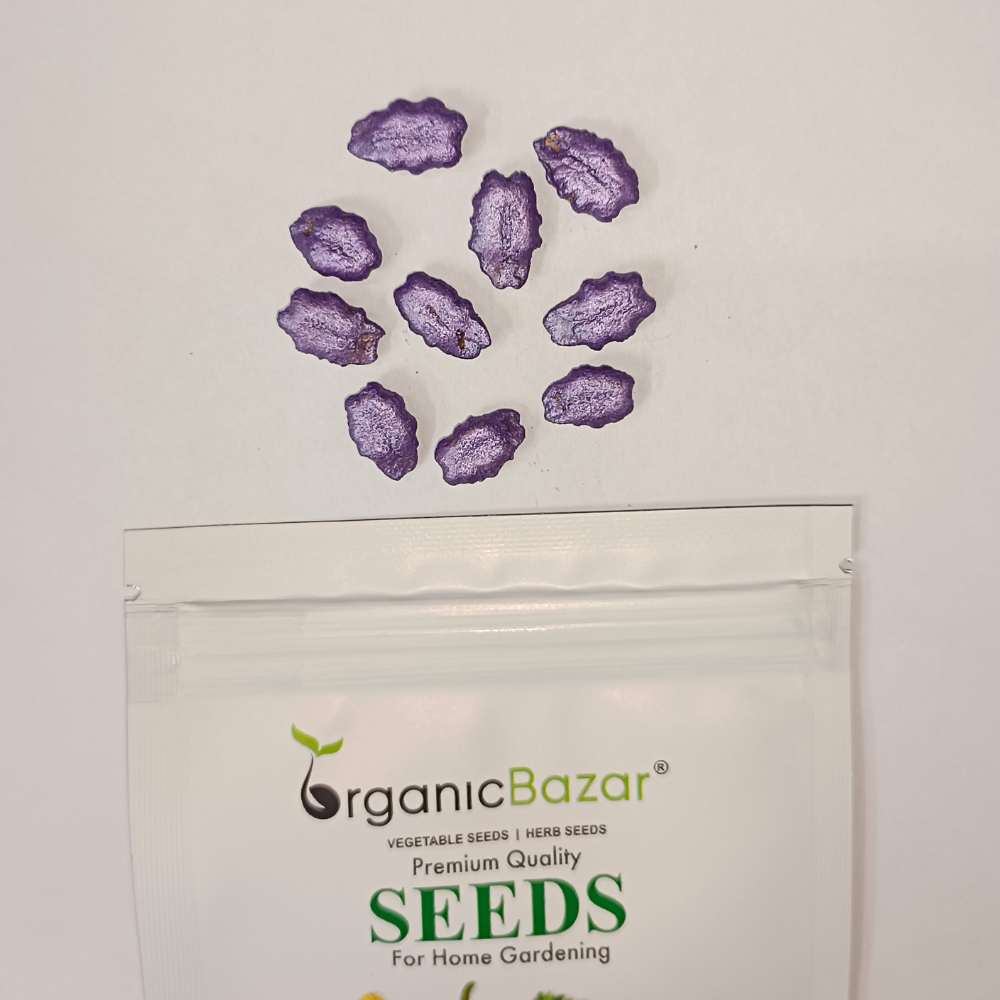 Snake Gourd (chichinda) Seeds - 10 Seeds (चिचिंडा के बीज) Easy To grow, High Germination, High Yield Snake Gourd Seeds for Terrace Gardening - Image 3