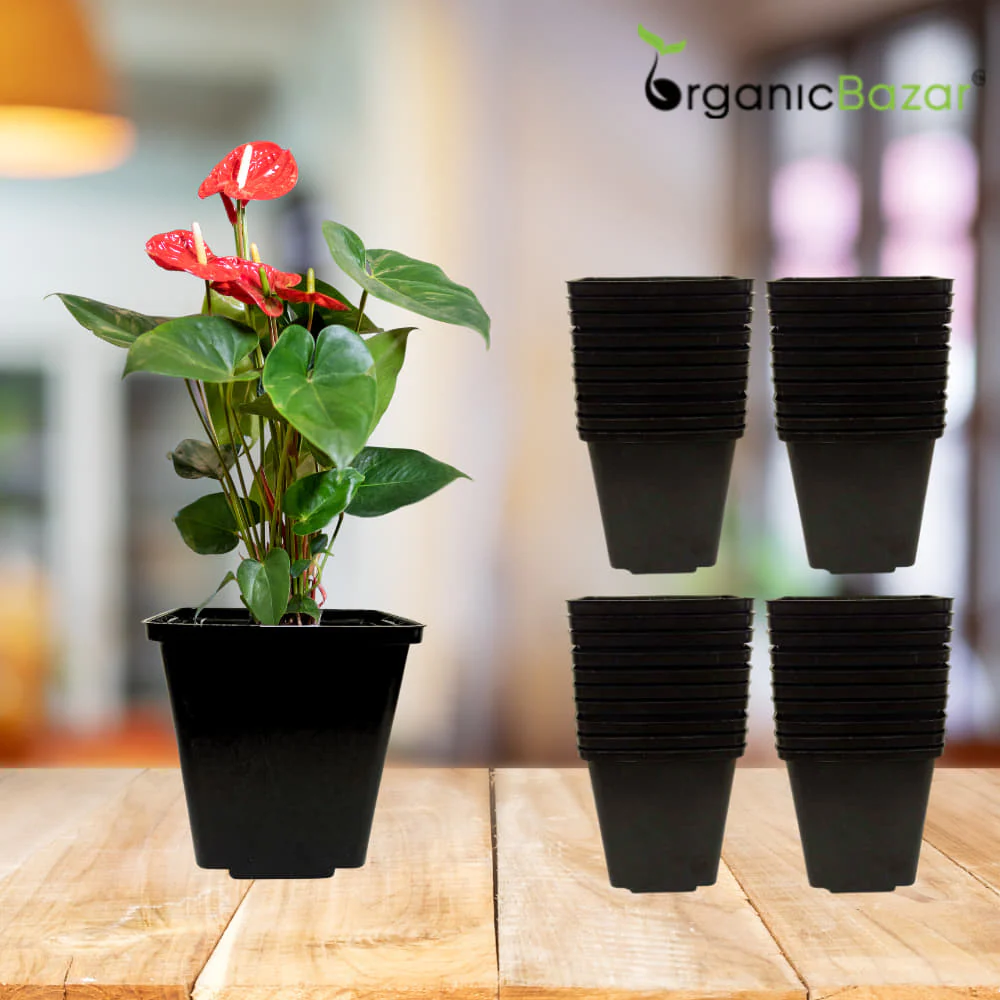 Square Nursery Pots for Seedlings (Black) - Image 10