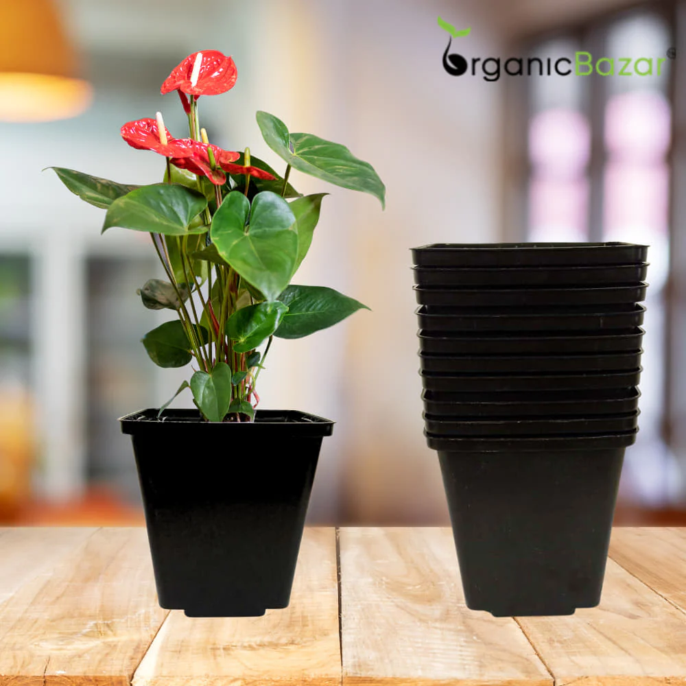 Square Nursery Pots for Seedlings (Black) - Image 11