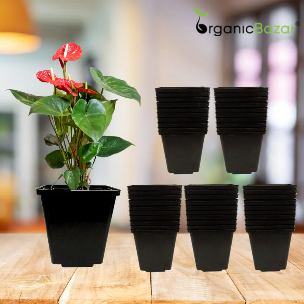 Square Nursery Pots for Seedlings (Black) - Image 5