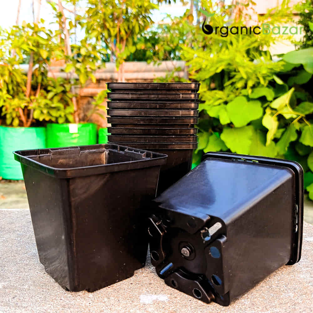 Square Nursery Pots for Seedlings (Black) - Image 7