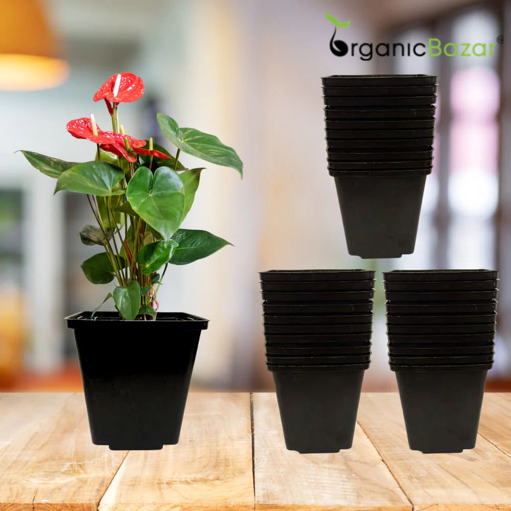 Square Nursery Pots for Seedlings (Black) - Image 9