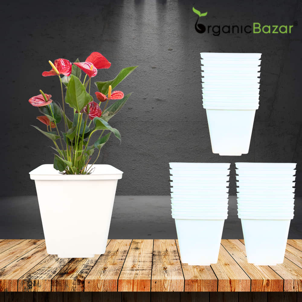 Square Nursery Pot for Seedlings (White) - Image 11