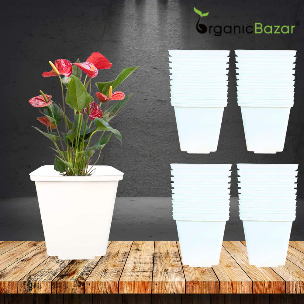 Square Nursery Pot for Seedlings (White) - Image 12