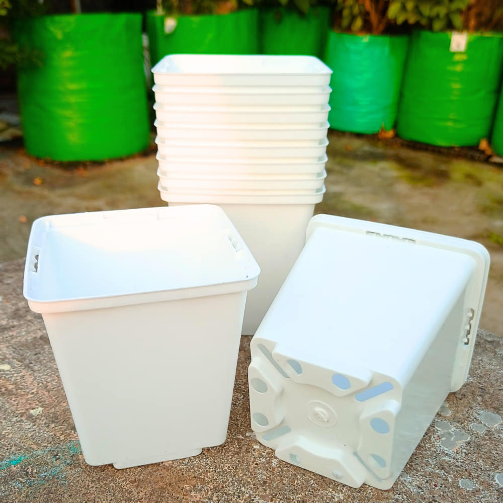Square Nursery Pot for Seedlings (White) - Image 6