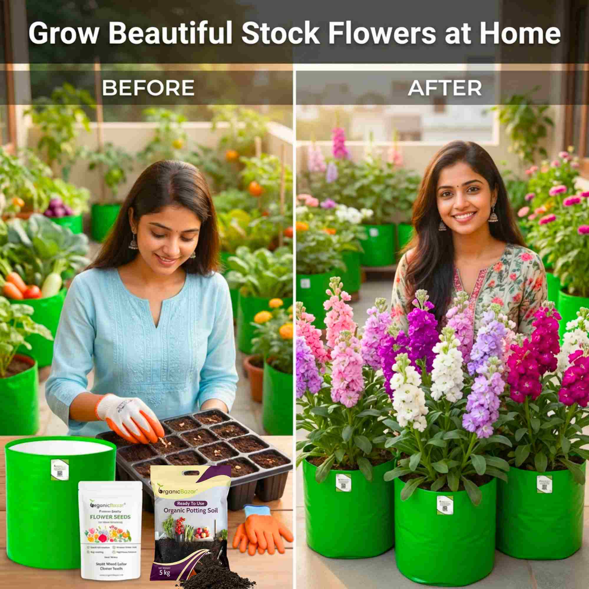 Stock Mixed Color Flower Seeds (100 Seeds) High Germination/ Easy To grow/ Perfect for pots, balconies, or Terrace gardens - Image 3