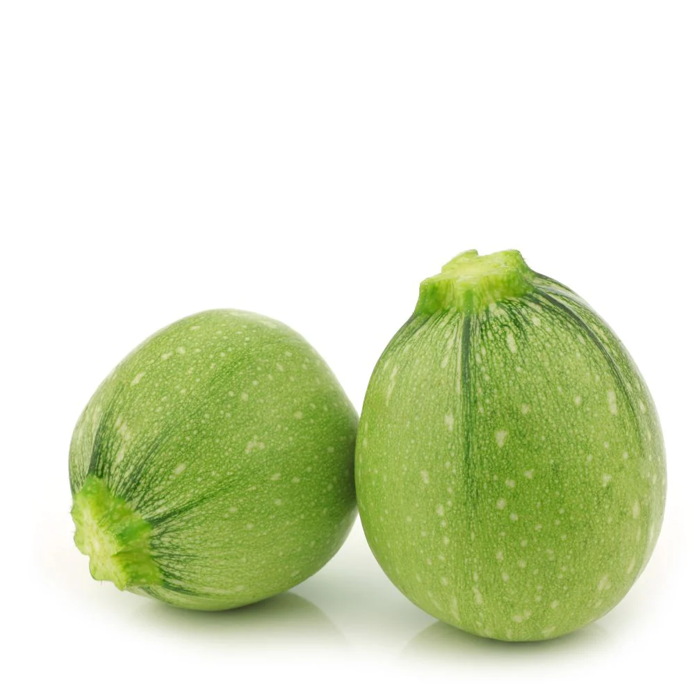 Summer Squash (Chappan Kaddu) Light Green Seeds (15 Seeds) Easy To grow, High Germination, High Yield Seeds for Home Gardening - Image 2