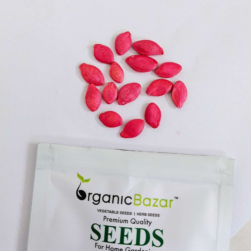 Summer Squash (Chappan Kaddu) Light Green Seeds (15 Seeds) Easy To grow, High Germination, High Yield Seeds for Home Gardening - Image 3