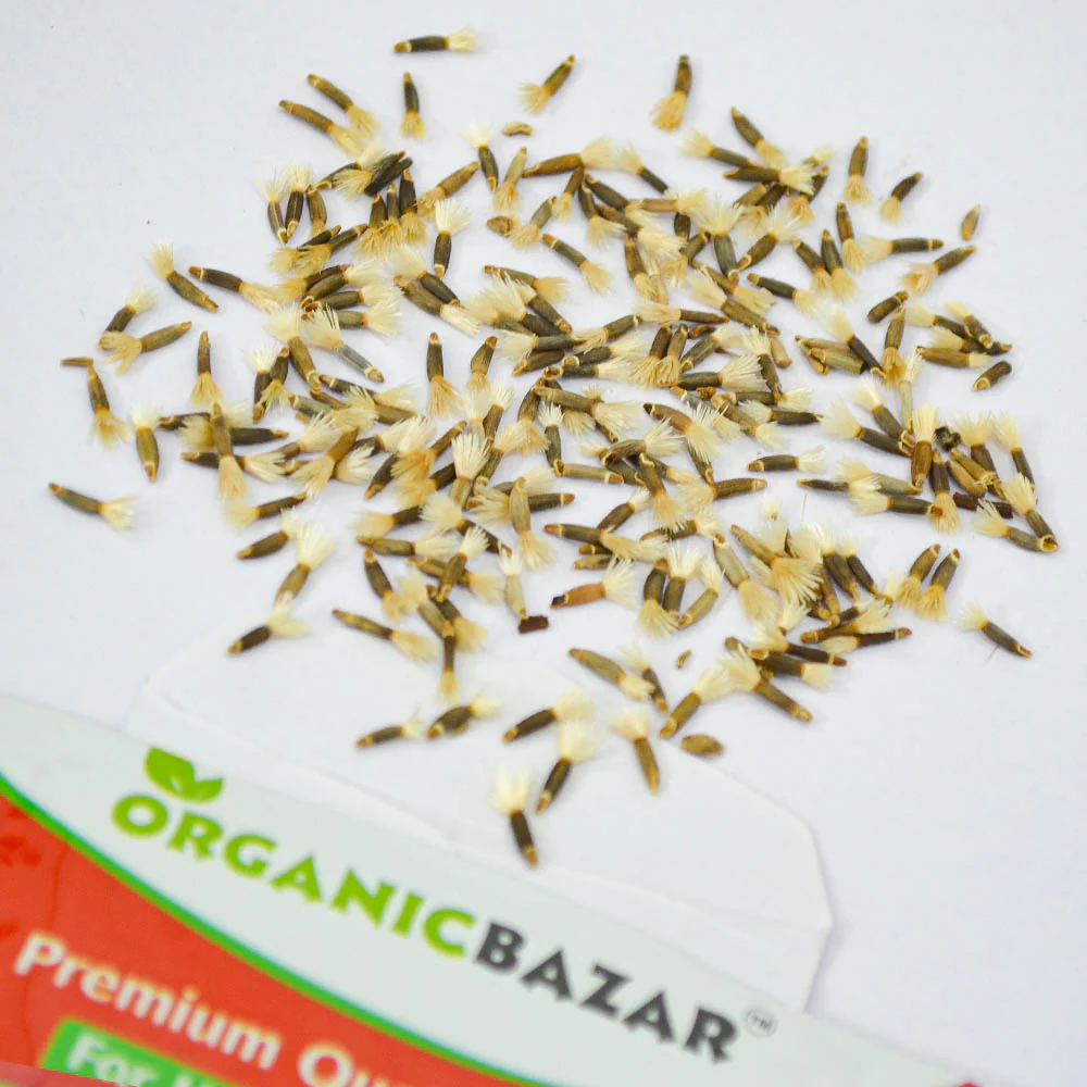 Sweet Sultan Seeds (200 Seeds) - Image 3