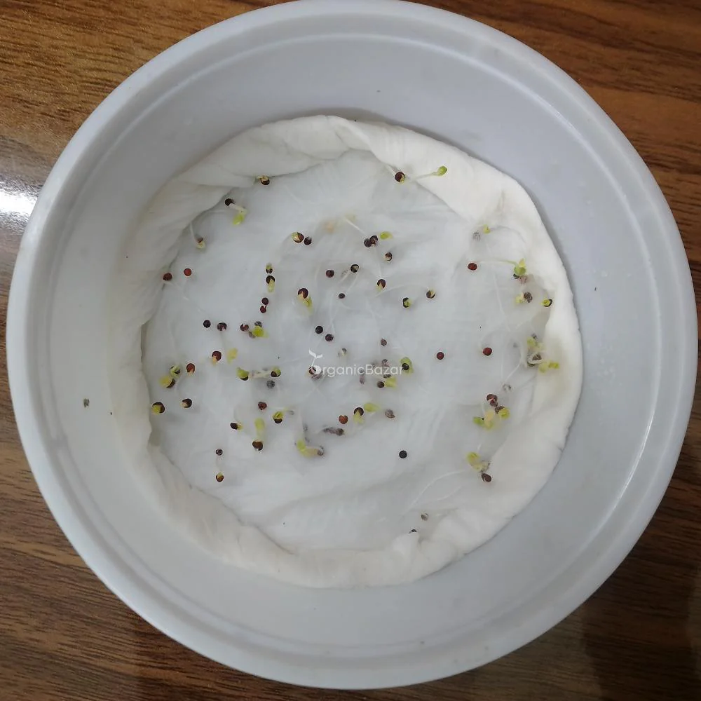 Tatsoi Green Seeds - 100 Seeds (तत्सोई ग्रीन के बीज) Fast Growing Leafy Vegetable - Image 4