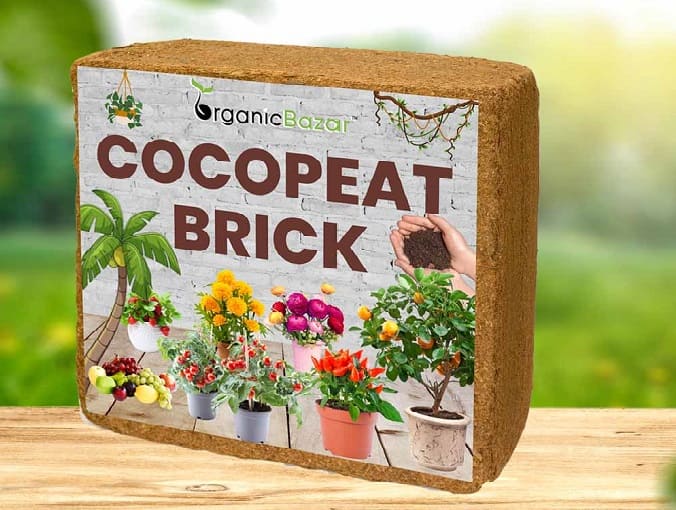 Terrace Gardening Kit for Beginners 14 Different Product in 1 kit - Image 3
