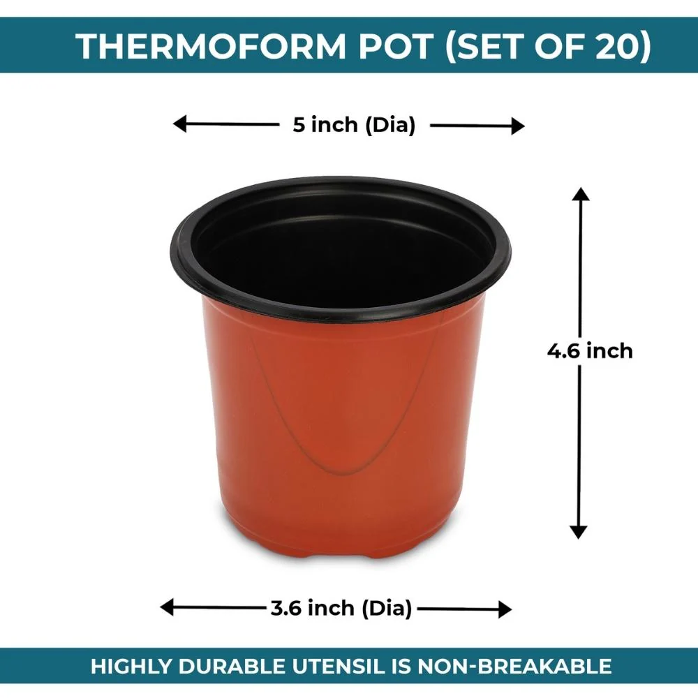 Thermoform Pot-5 Terracotta Color (Set of 20)(13 CM) - Image 4