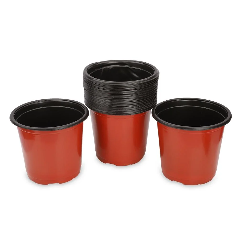 Thermoform Pot-5 Terracotta Color (Set of 20)(13 CM) - Image 7