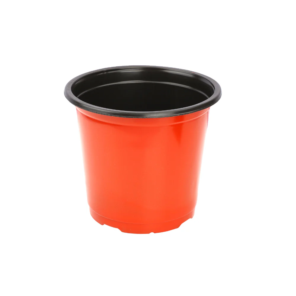 Thermoform Pot-6 Terracotta Color (Set of 20) (15cm) - Image 4