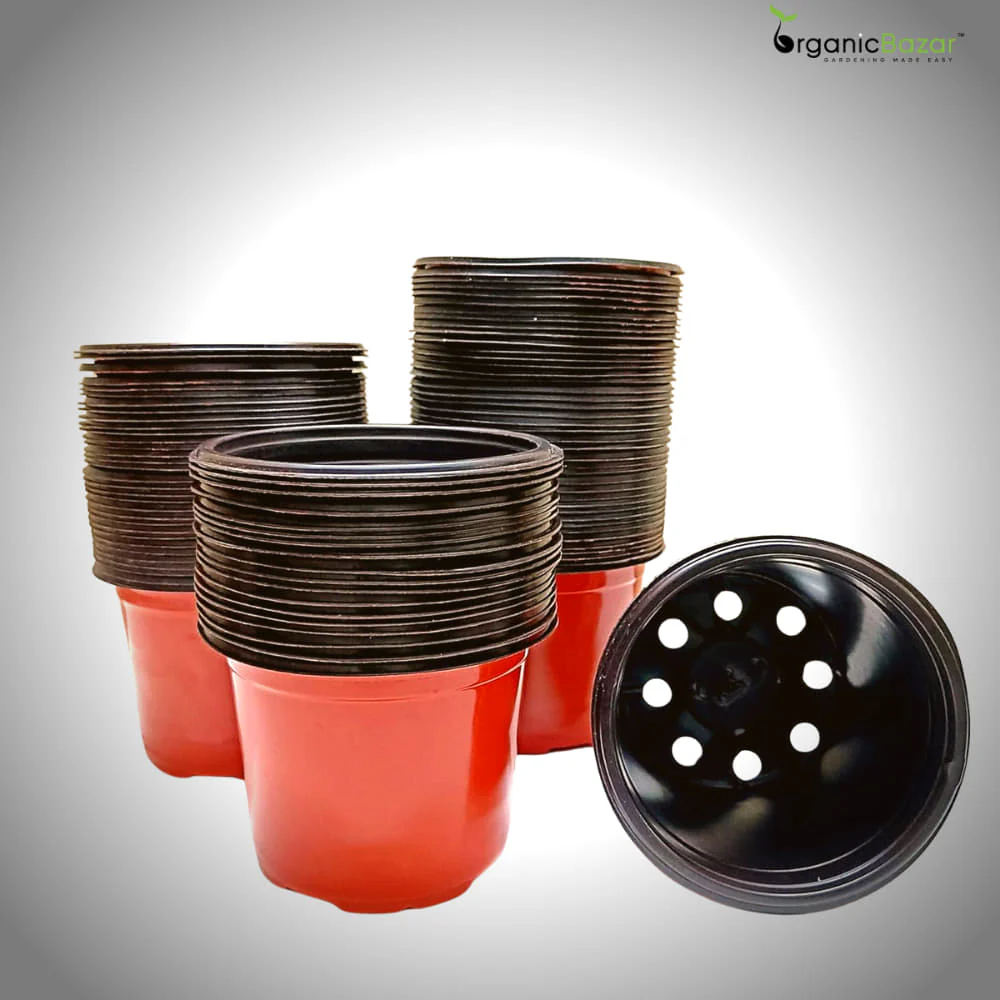 Thermoform Pot-6 Terracotta Color (Set of 20) (15cm) - Image 5