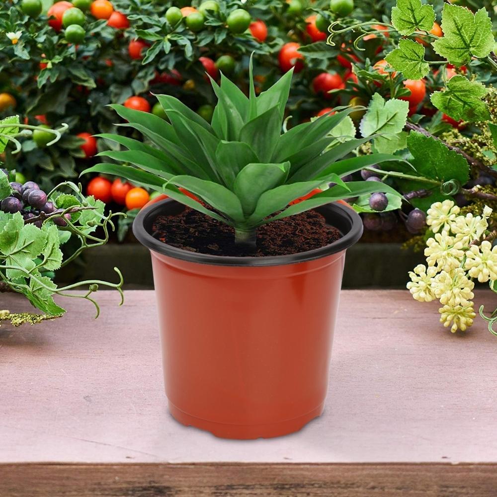 Thermoform Pot-6 Terracotta Color (Set of 20) (15cm) - Image 6