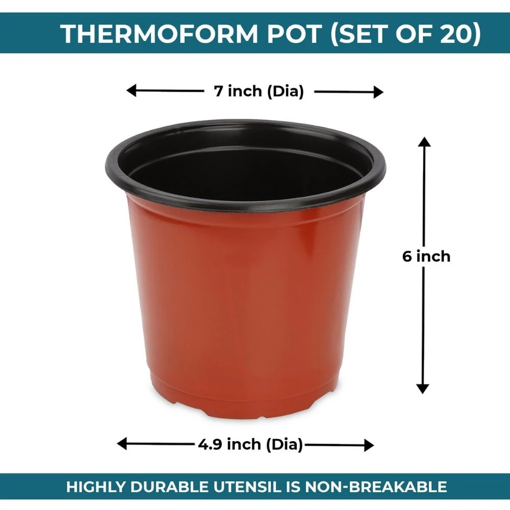 Thermoform Pot-7 Terracotta Color (Set of 20) (18 cm) - Image 6