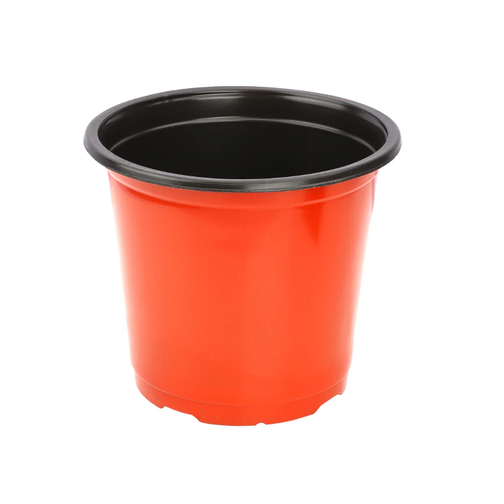 Thermoform Pot-8 Terracotta Color (Set of 10) (20 cm) - Image 4