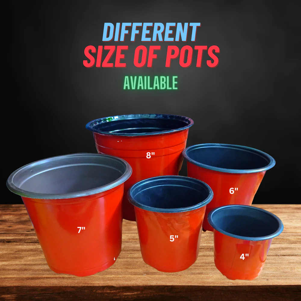 Thermoform Pot-8 Terracotta Color (Set of 10) (20 cm) - Image 8