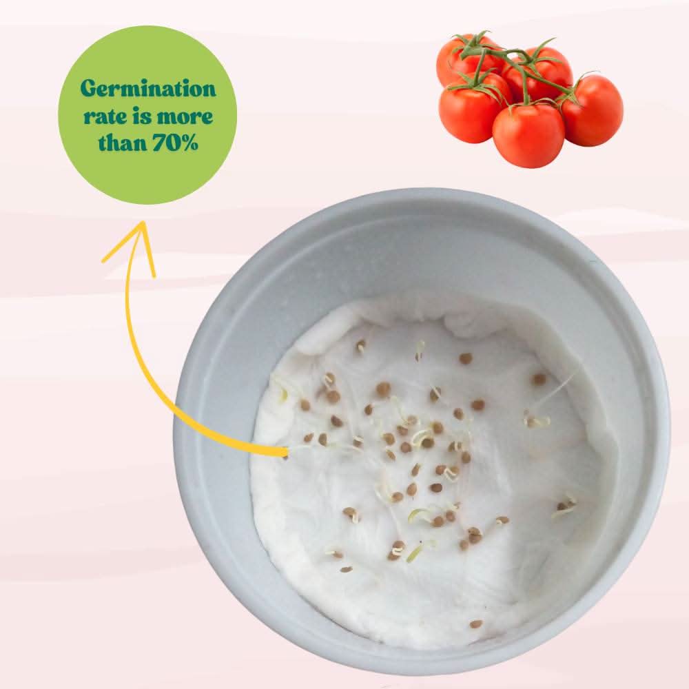 Tomato F1 Hybrid Seeds - 50 Seeds (Tamatar) (टमाटर के बीज) High Germination/ Easy to Grow/ Ideal for Terrace/Kitchen Gardening - Image 7