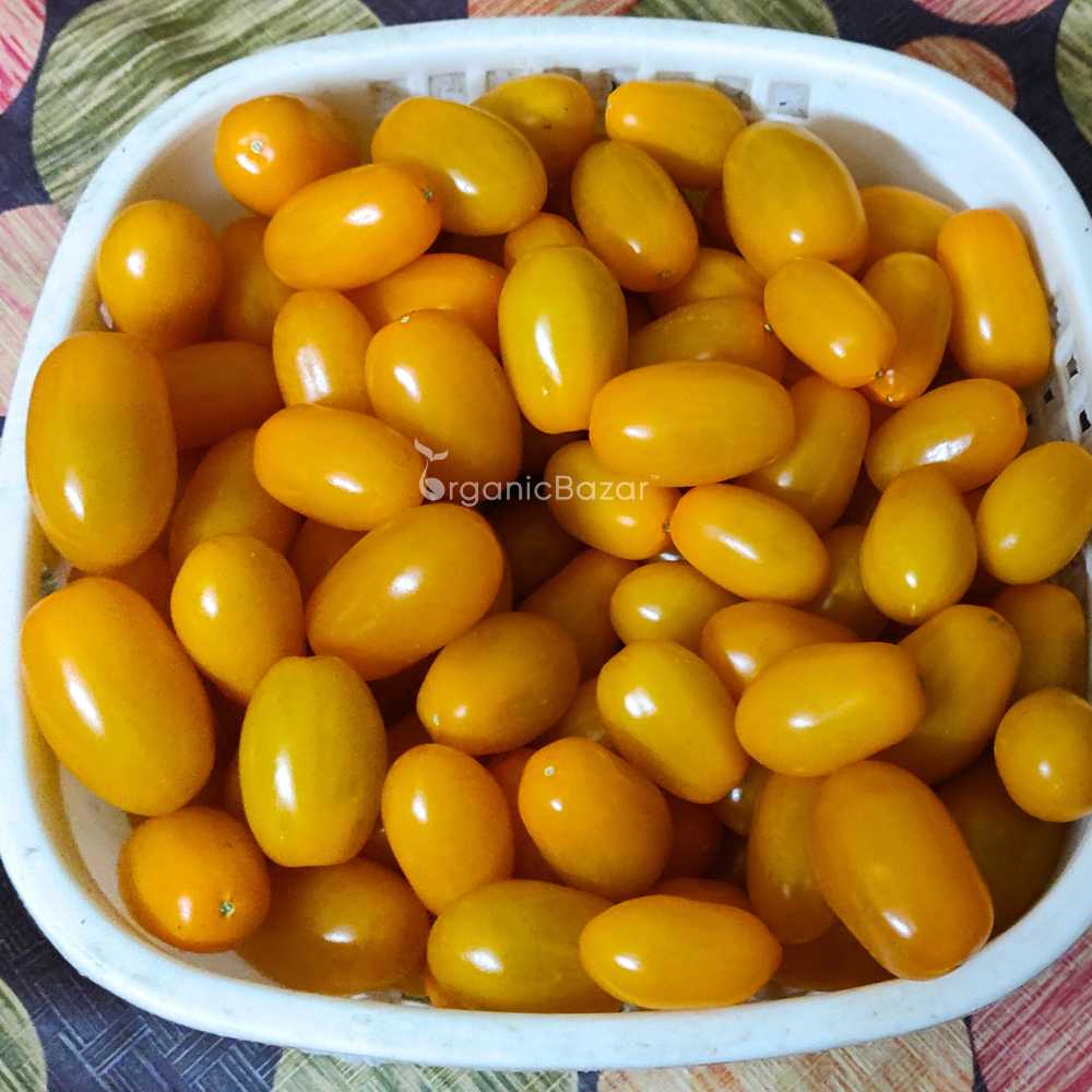 Yellow Grapes Cherry Tomato Seeds (F1 Hybrid) - 30 Seeds (Tamatar/टमाटर के बीज) High Germination/ Easy to Grow/ Ideal for Terrace/Kitchen Gardening - Image 2