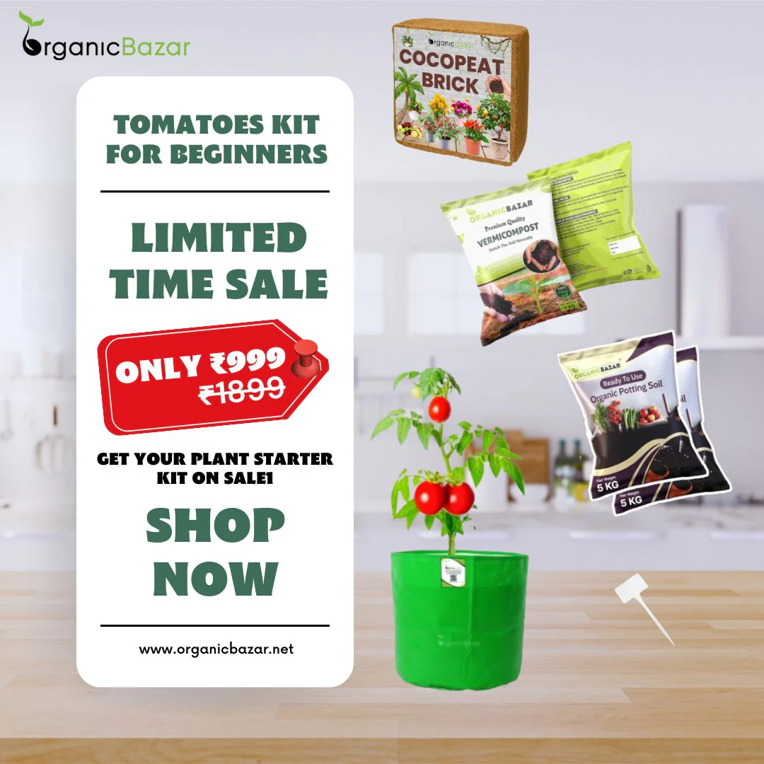 Tomatoes Growing Kit for beginners Grow Your Own Tomatoes - Perfect for Beginners - Image 2