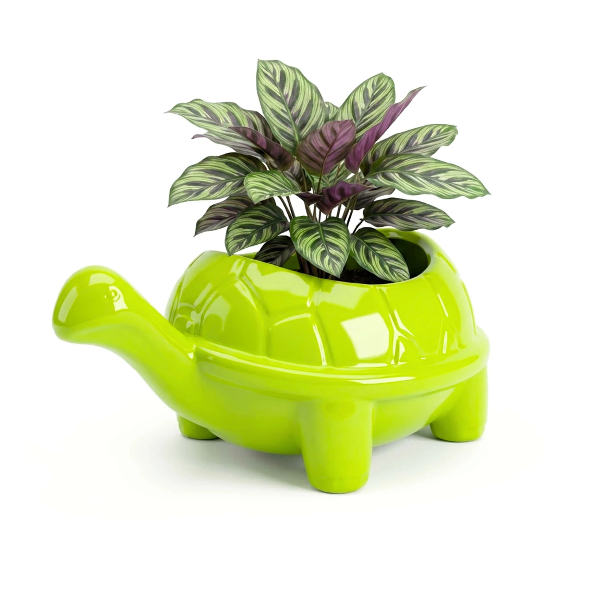 Tortoise Plastic Pot, Unique and Charming Decorative Planters, Ideal for Indoor and Outdoor Gardening or Gifting Purpose (Pack of 1, Lime Green) - Image 3