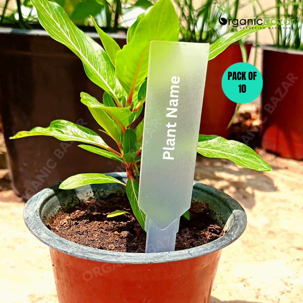 Transparent Arrow shape Plant Tag Marker label for Home Gardening - Image 7