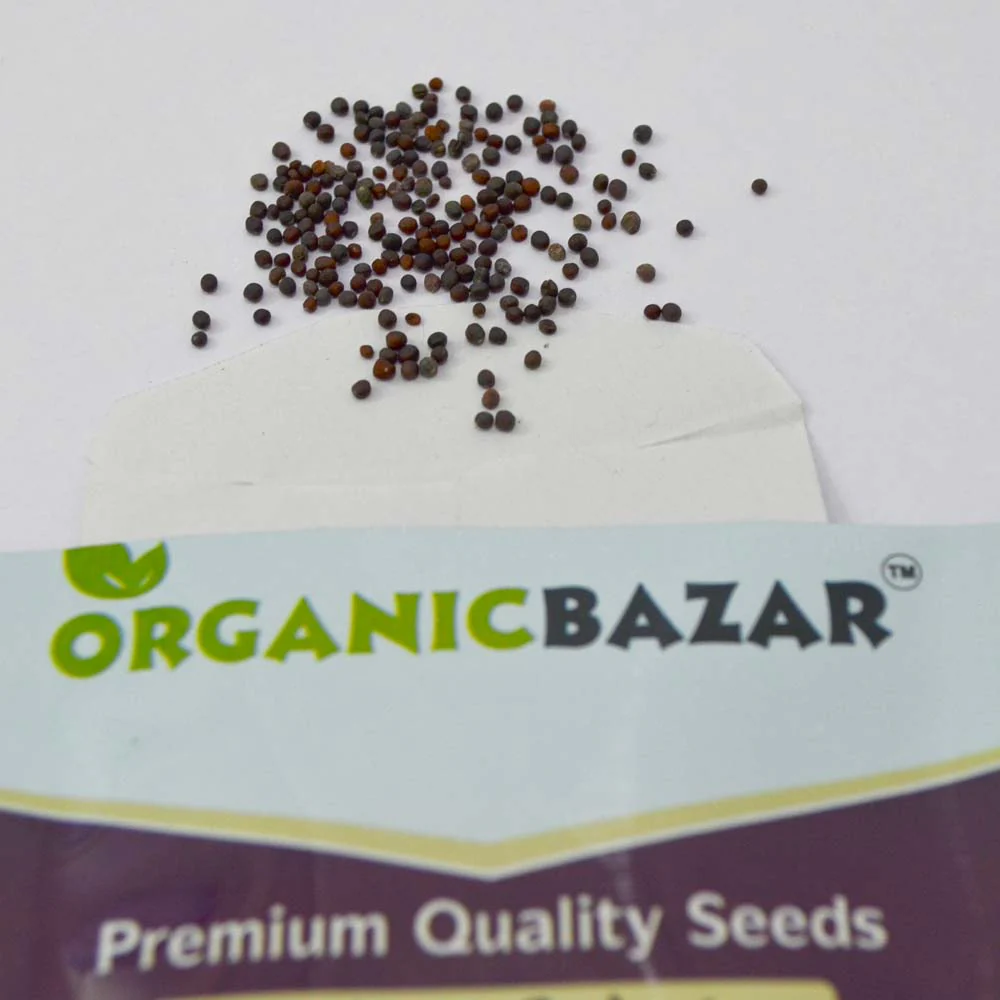 Turnip Golden Yellow Seeds (200 Seeds) - Image 3