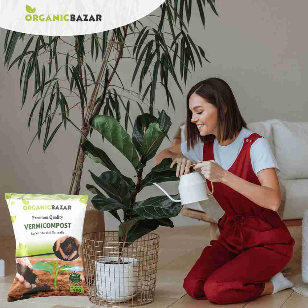 Vermicompost Fertilizer for Home garden Plants (1kg) - Image 5