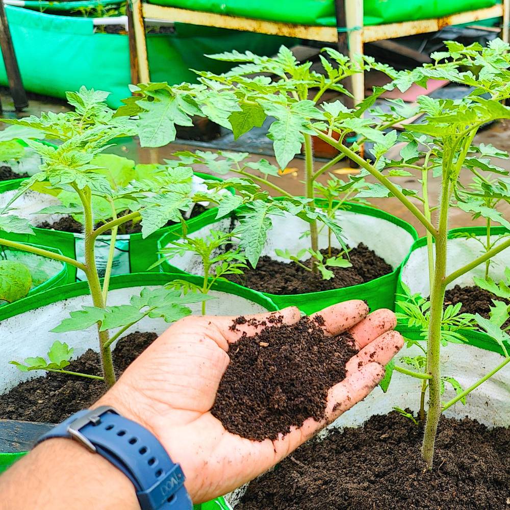 Vermicompost Fertilizer for All Plants (10kg) - Image 3