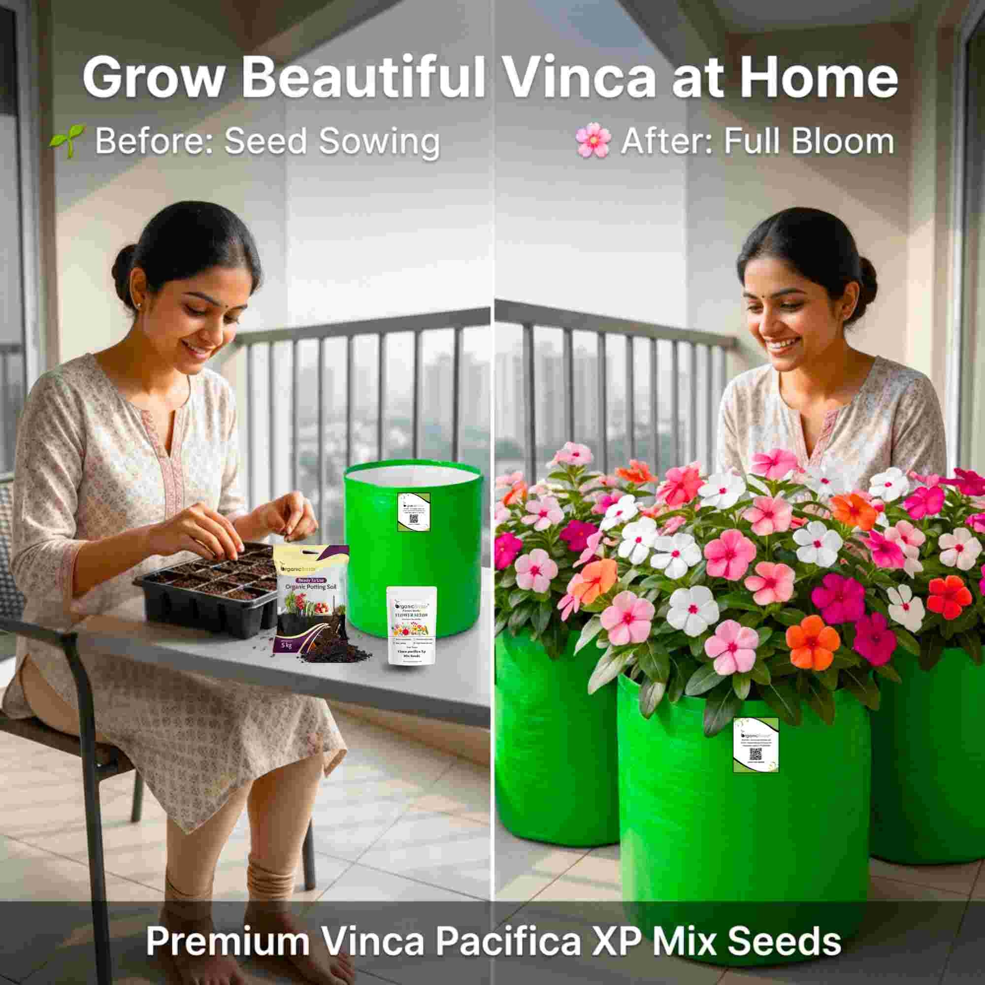 Vinca Pacifica XP Mix Seeds - 25 Seeds (Periwinkle/ Sadabahar/सदाबहार के बीज) High Germination, Annual Flower Seeds for Terrace Gardening - Image 3