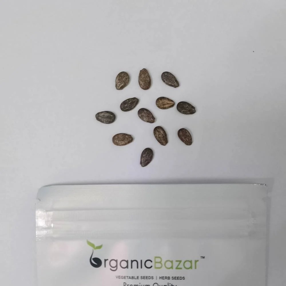 Watermelon Yellow Seeds - 12 Seeds (Pila Tarbooj/पीला तरबूज के बीज) - Image 3