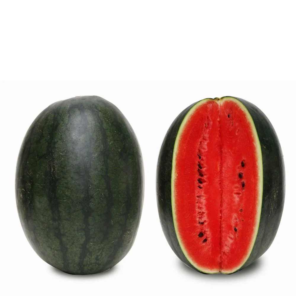Watermelon Oval Dark Green Seeds - 12 Seeds(Tarbooj/तरबूज के बीज) - Image 4