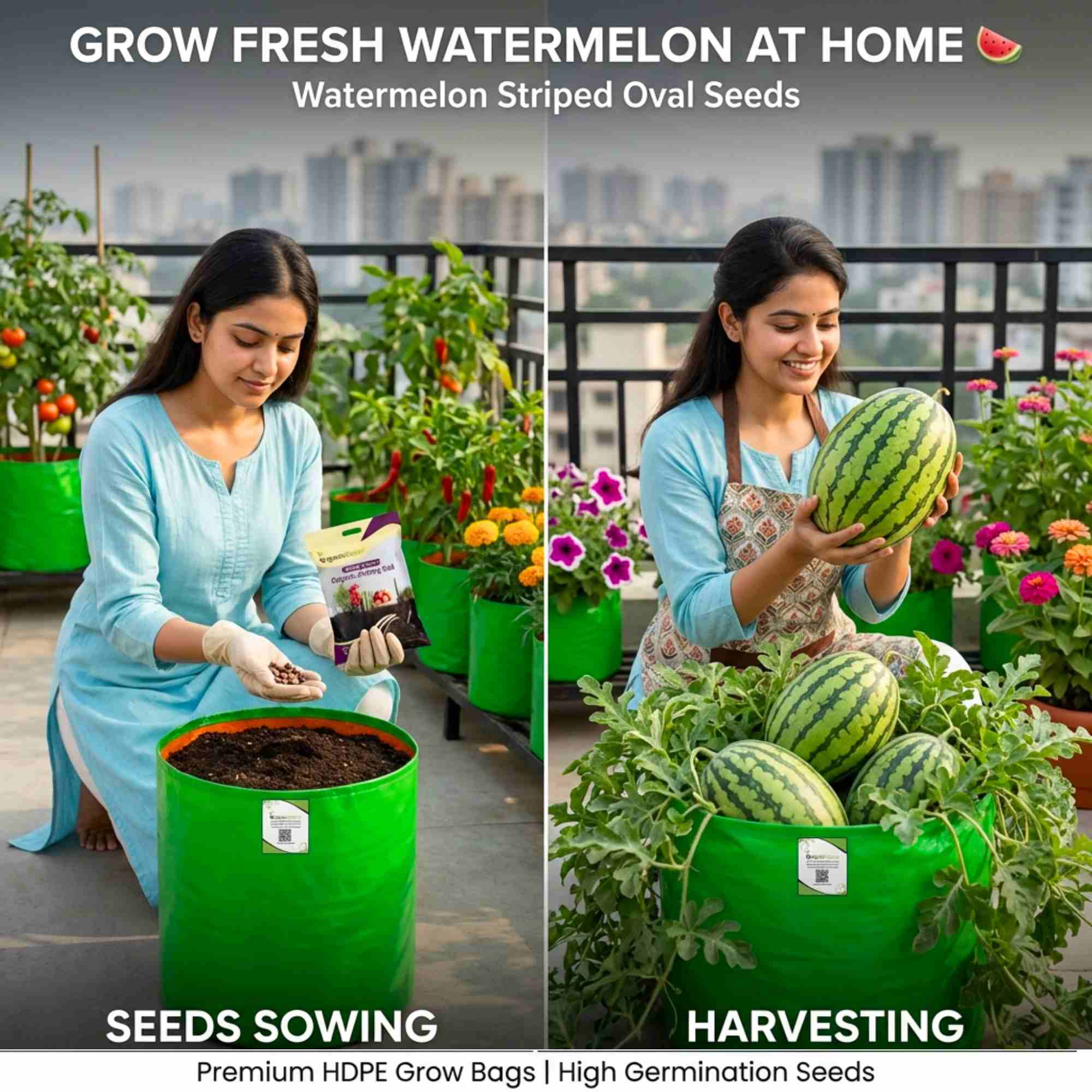 Watermelon Striped Oval Seeds - 12 Seeds (Tarbooj/तरबूज के बीज) - Image 4