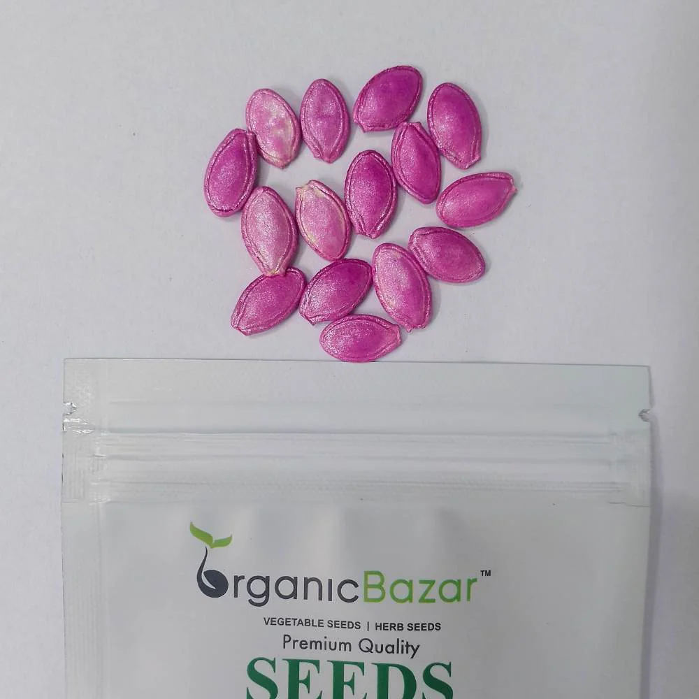 Zucchini Black Beauty (Green) Seeds - 15 Seeds (जुकिनी के बीज) - Image 6
